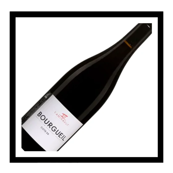 SAQ Bourgueil rouge ‘Côte 50’ 2025, Yannick Amirault