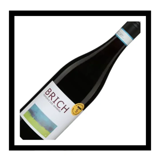 SAQ Piemonte doc Barbera Brich 2025, Agricola Gaia