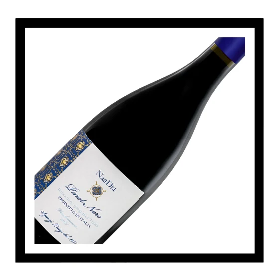Terre di Chieti igt Pinot Nero 2024, Cantine Sgarzi Luigi, Abruzzes