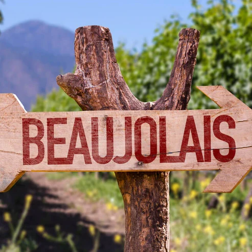 Beaujolais 'Le Ronsay' 2023, Jean-Paul Brun