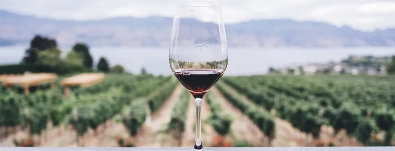 Piemonte DOC Albarossa 'Macchiaferro' 2019