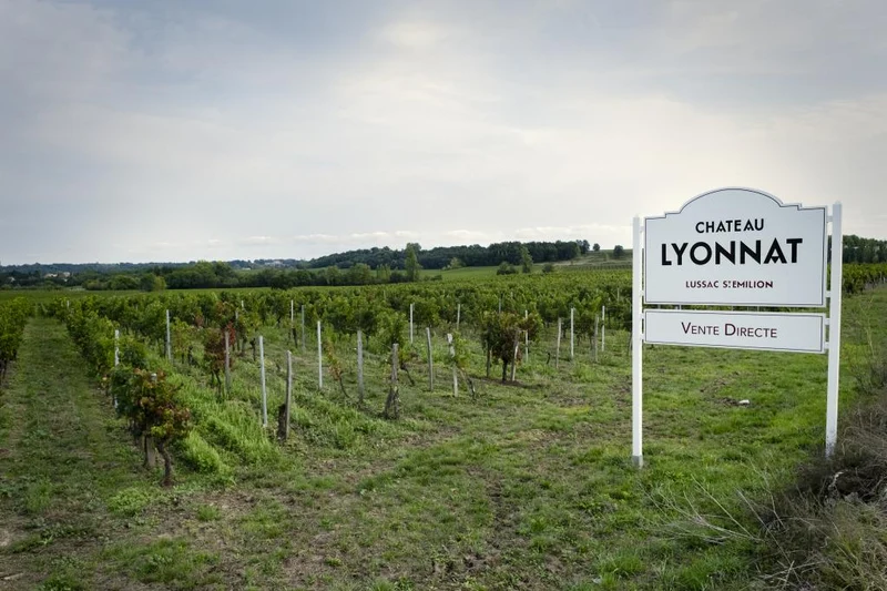 Château Lyonnat, Lussac Saint-Emilion, 2017