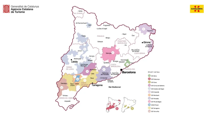 Empordà 'Petit suneus' 2024