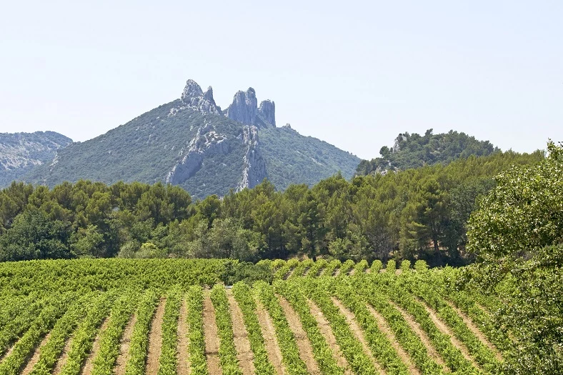 AOC Côtes du Rhône 'Roulepierre' 2022
