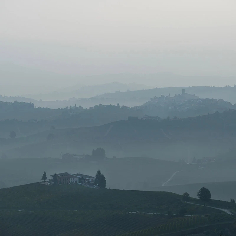 Langhe DOC 'Mesdi Rosato' 2024