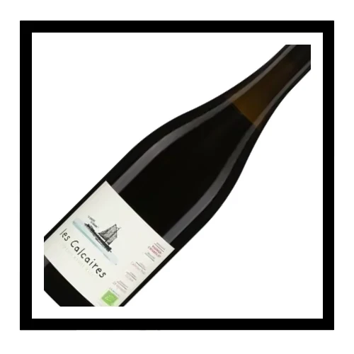 SAQ Saumur-Champigny ‘Les Calcaires’ 2023, François Xavier Barc