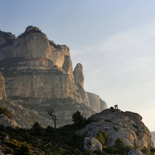 Montsant 'Volador Tinto' 2022