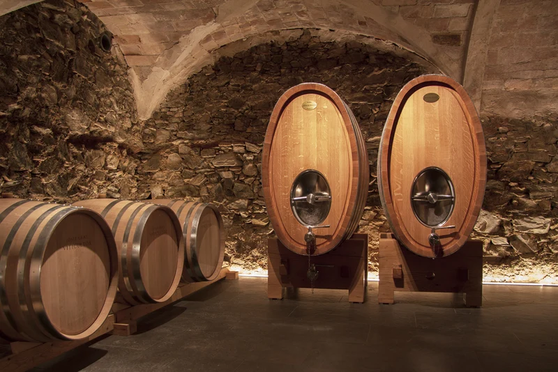 Montsant 'Volador Tinto' 2022