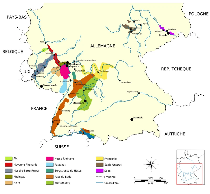 Rheinessen Grauerburgunder 2023