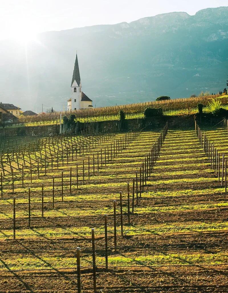 Santa Maddalena Classico Alto Adige DOC 2023, Kallerei Bozen