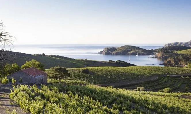 Côtes Catalanes 'Argila' 2023