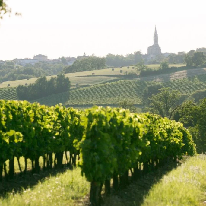 Blaye blanc 'Les Pierrières' 2022