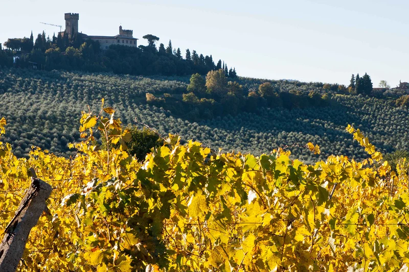 DOCG Chianti colli Fiorentini 'Montebetti' 2021
