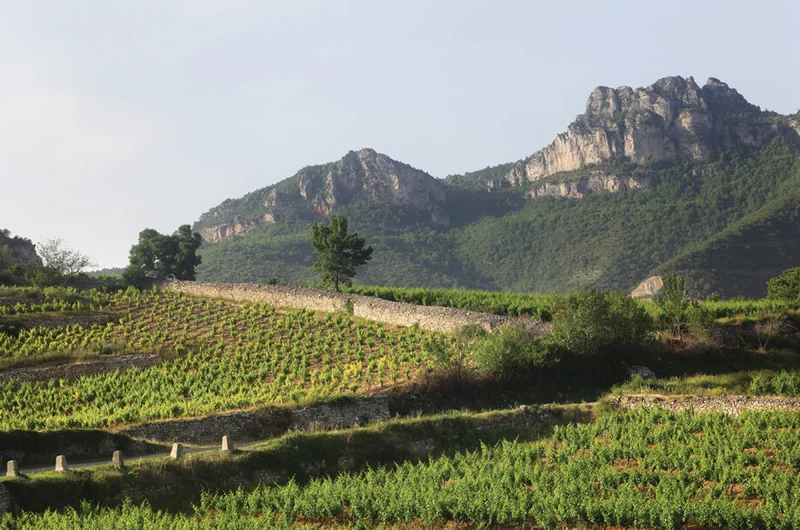 Les terrasses de Boucabeille 2023