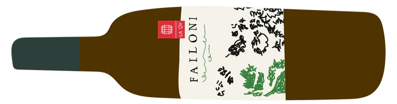 Verdicchio dei Castelli di Jesi 2023, Failoni