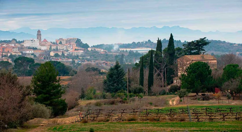 Montsant 'Vi del Mas' 2022