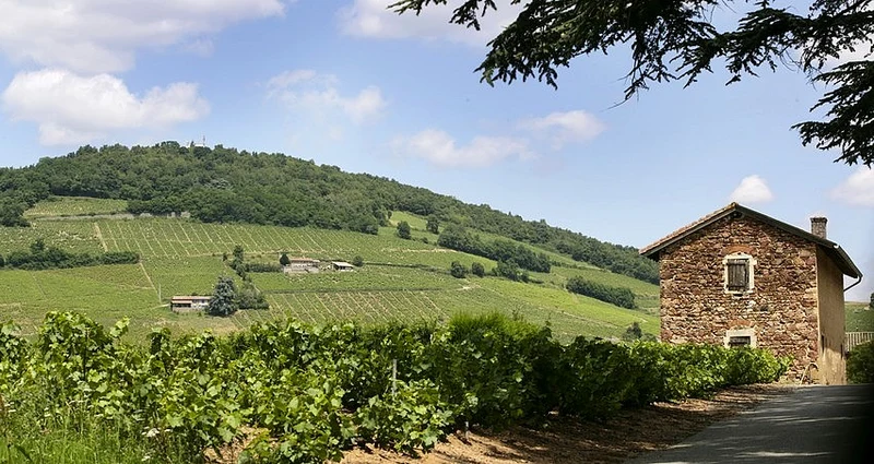 Juliénas Vieilles vignes 2023, Domaine des Chers