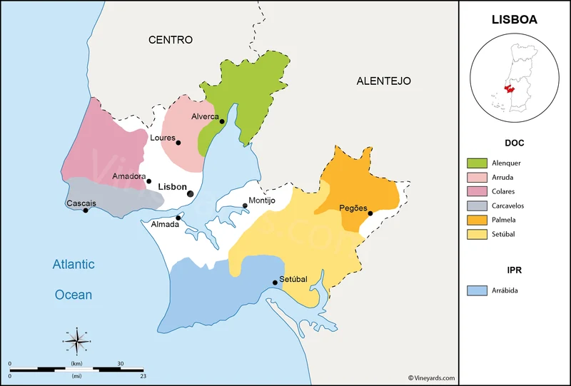 Lisboa branco 2023, Quinta do Monte d'Oiro