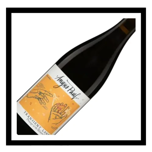 SAQ Western Cape Transient Lands Pinotage 2022, Angus Paul
