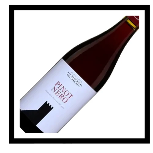 SAQ Alto Adige Pinot Nero doc 2023, Colterenzio