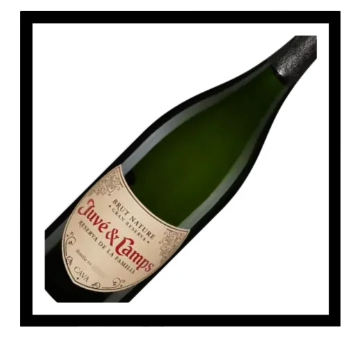 SAQ Cava Reserva de la Familia 2019, Juvé y Camps 3L