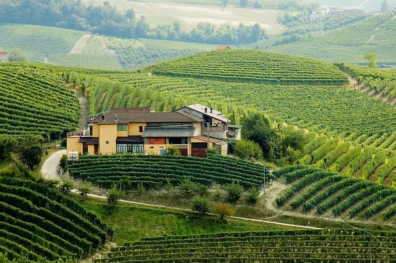 Langhe Freisa 'La Ferma' 2022