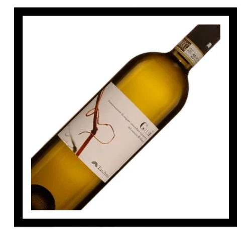 SAQ Cortese di Gavi docg 2023, A.A. Tacchino