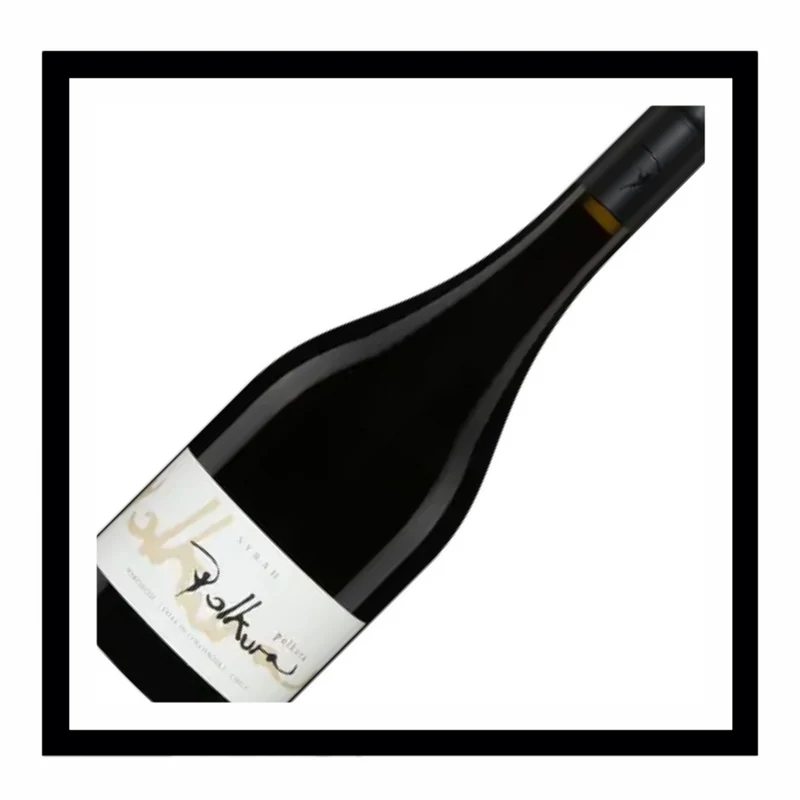 SAQ Syrah ‘Polkura’2021, Agricola La Vina, Valle de Rappel, Chili