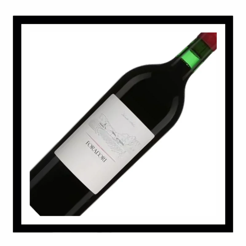 SAQ Vigneti delle Dolomiti IGT Teroldego 2023, A. A. Foradori Magnum