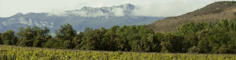 Rioja Crianza DOC 'Bikandi' 2021