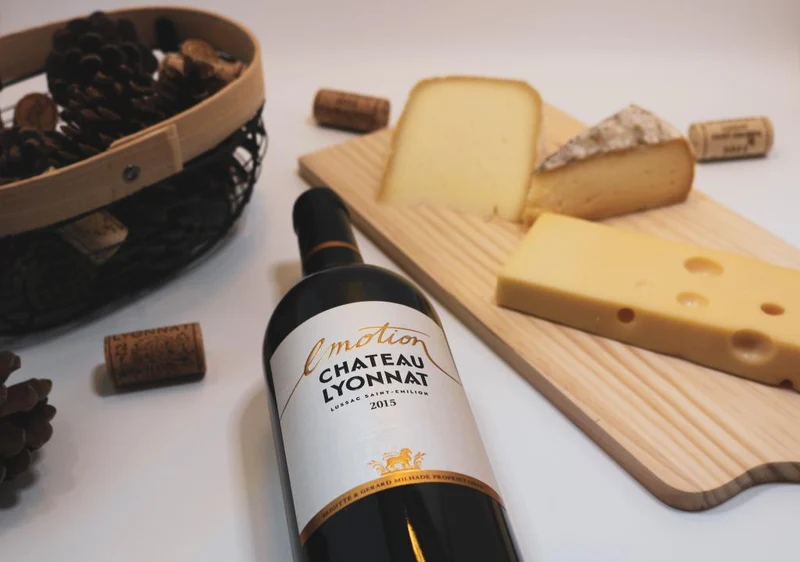 Château Lyonnat, Emotion du Château Lyonnat, AOC Lussac-Saint-Emilion, Rouge, 2021