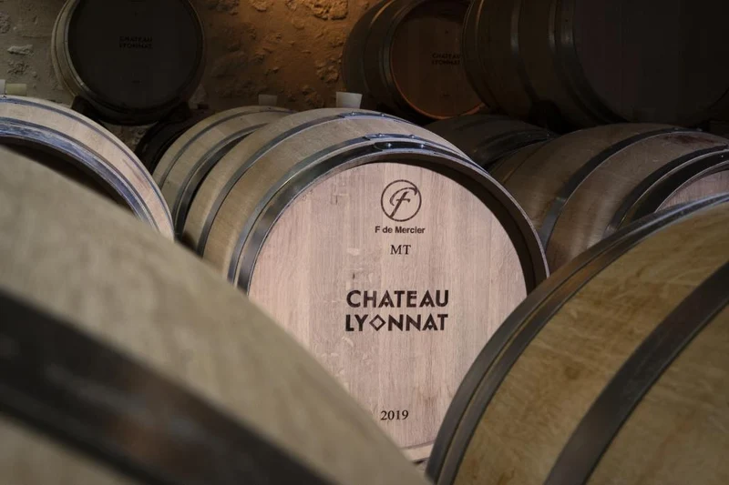 Château Lyonnat, Lussac Saint-Emilion, 2019
