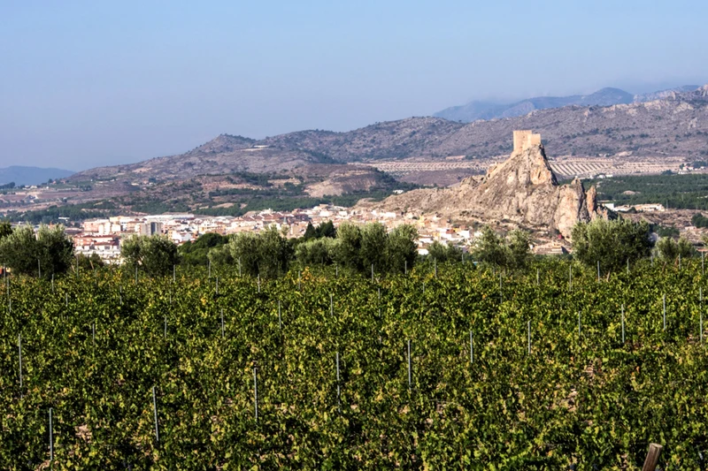 Vino de Parcela Finca de Serrano Monastrell 2024