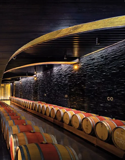Douro DOC Branco 2023, Quinta do Pesseigueiro