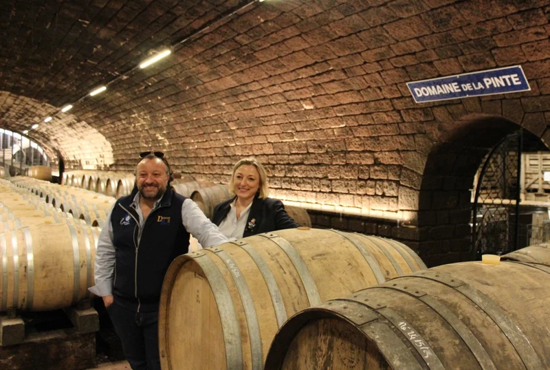 Arbois 'Poulsard Pinte bien' 2023