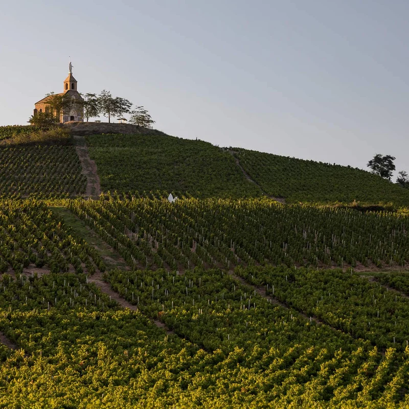Fleurie 'La Madone' 2023