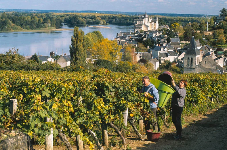 Crémant de Loire Extra Brut NM