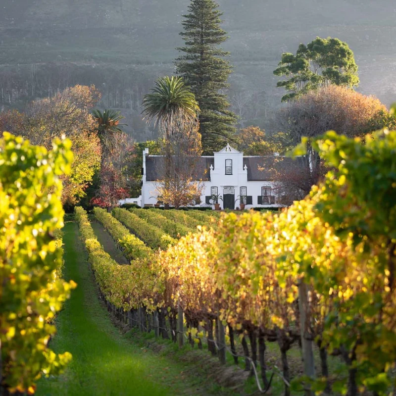 Constantia riesling 2024