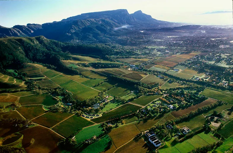 Constantia riesling 2024