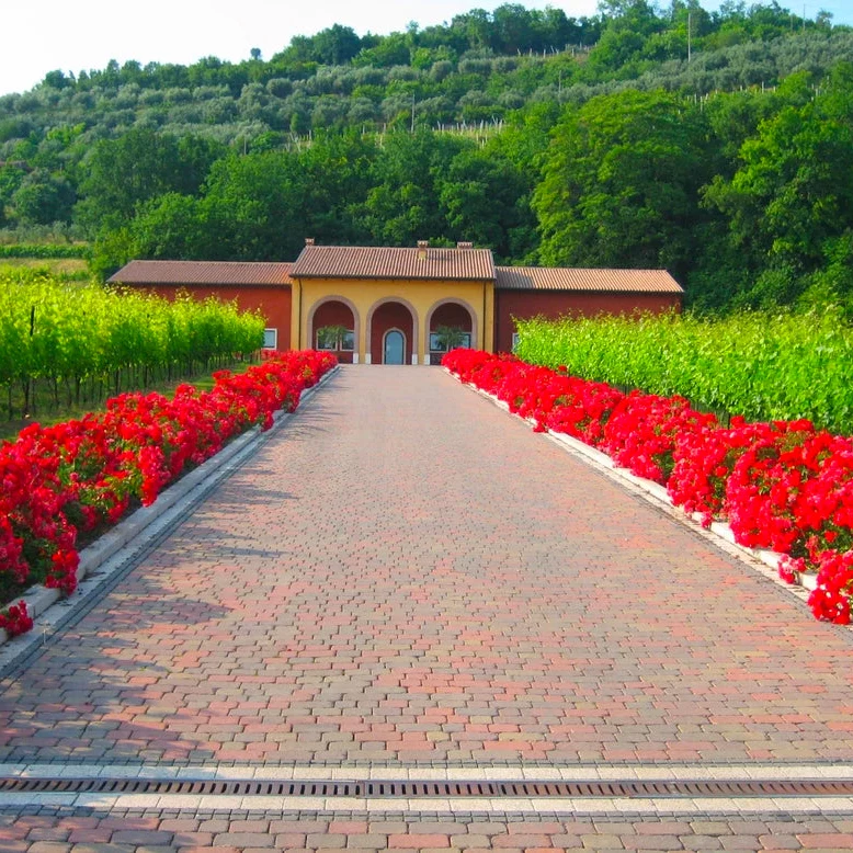 Soave DOC Spumante brut 'Volkanus' NM