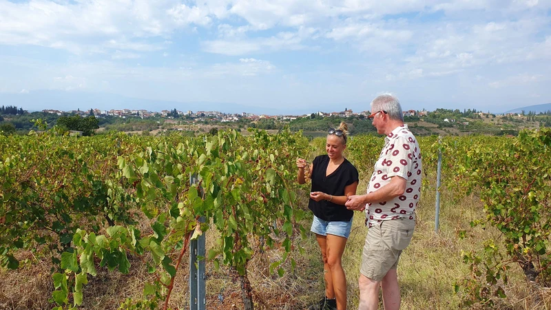 Ktima Ligas - Spira Solera 2012-2023