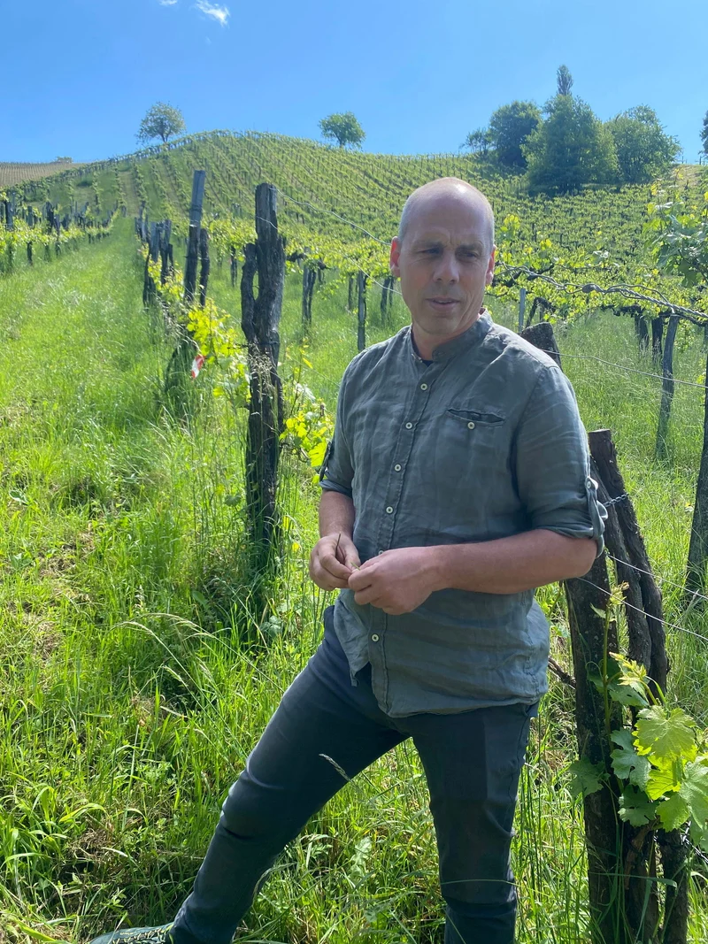 Weingut Werlitsch - Morillon vom Opok 2024
