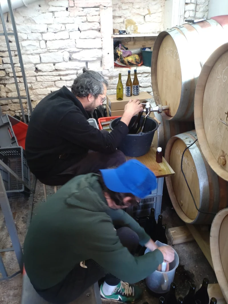 Les Jardiniers Vignerons - VdF Gamay MG 2022