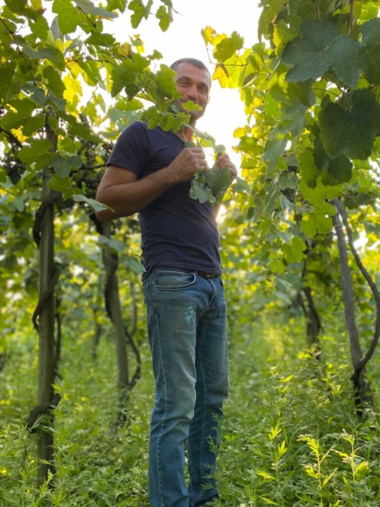 Makaridze - Aladasturi Rosé 2023