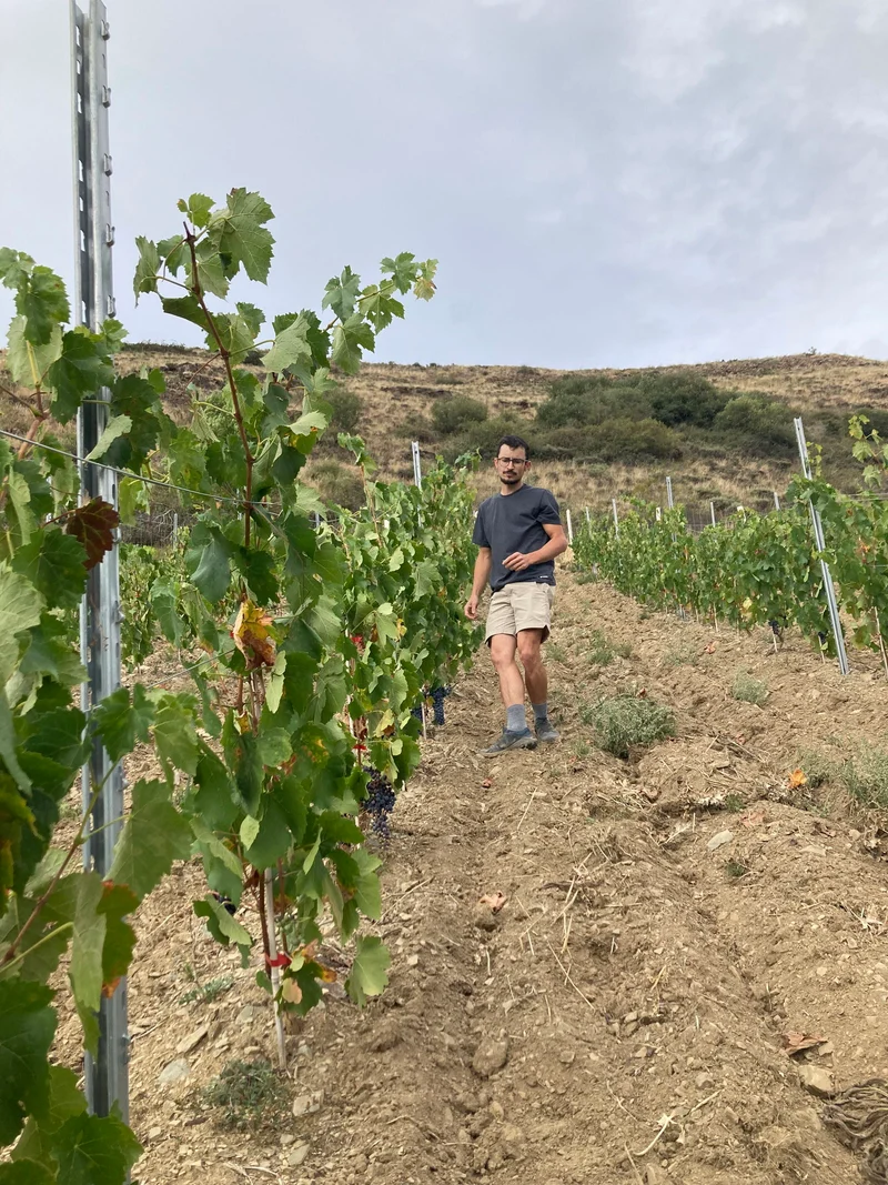Domaine Cotzé - Riptide 2024