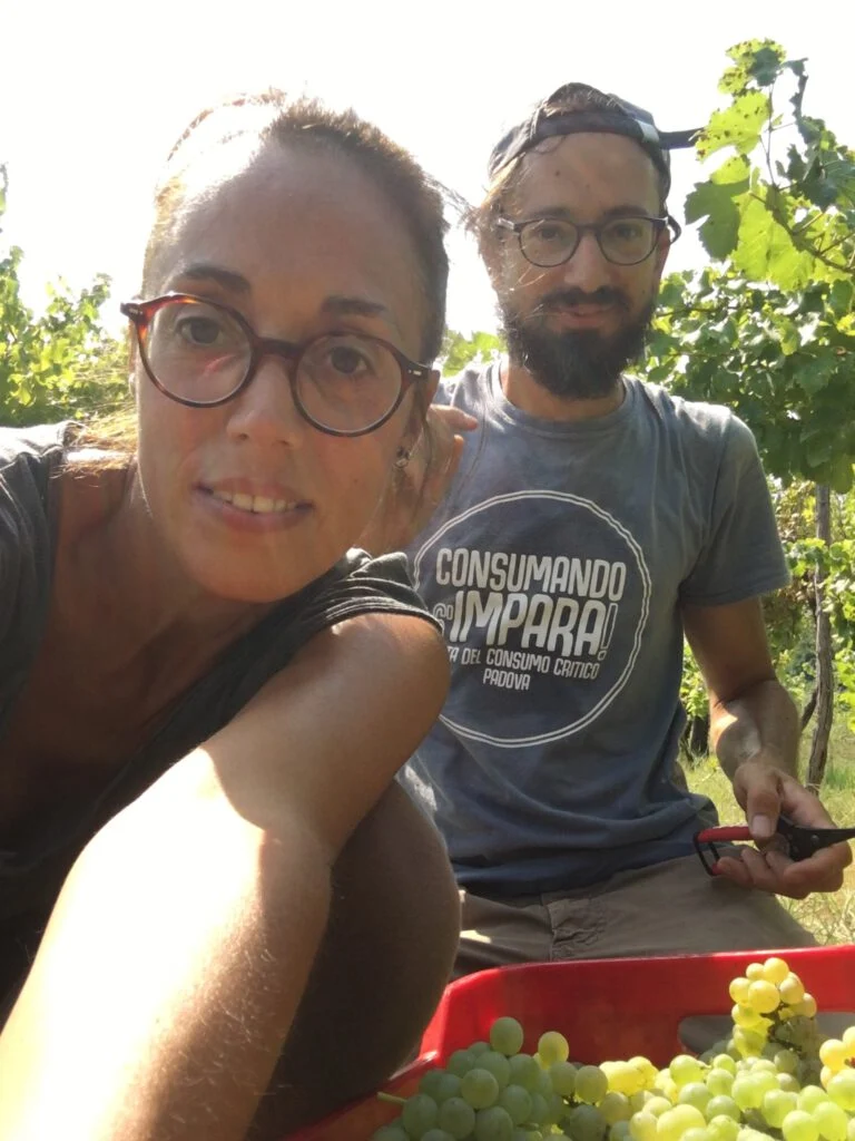 Vigna Flor - Alma Calma 2023