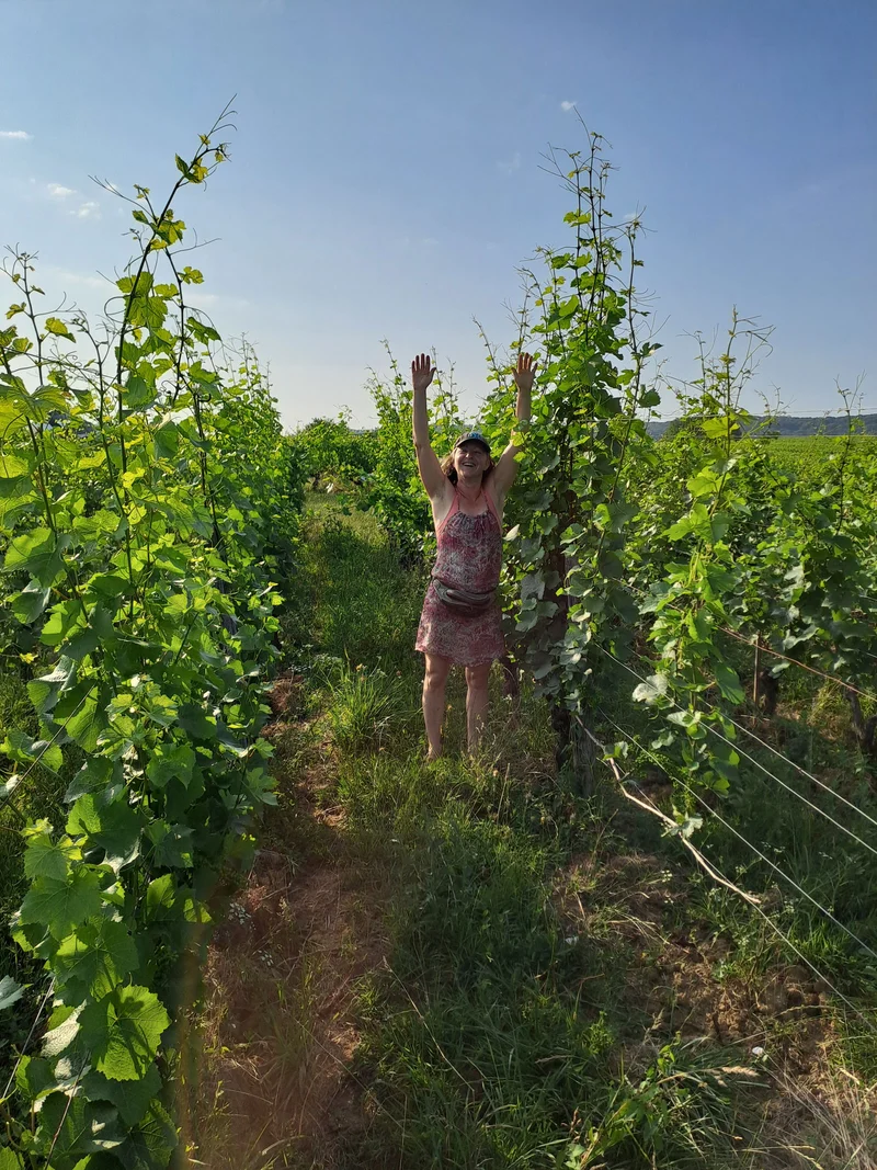 Domaine de l'Octavin - Tamino 2021