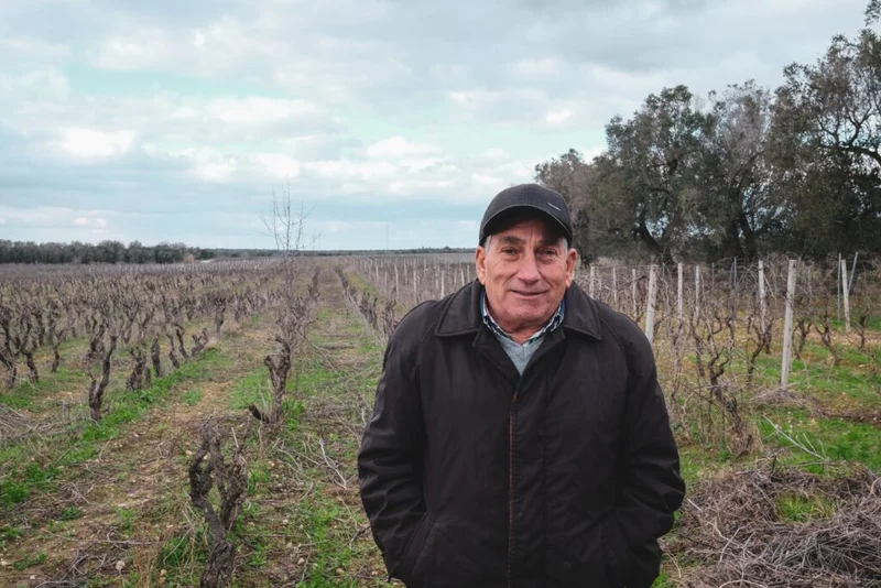 Natalino del Prete - Sorso Antico 2024