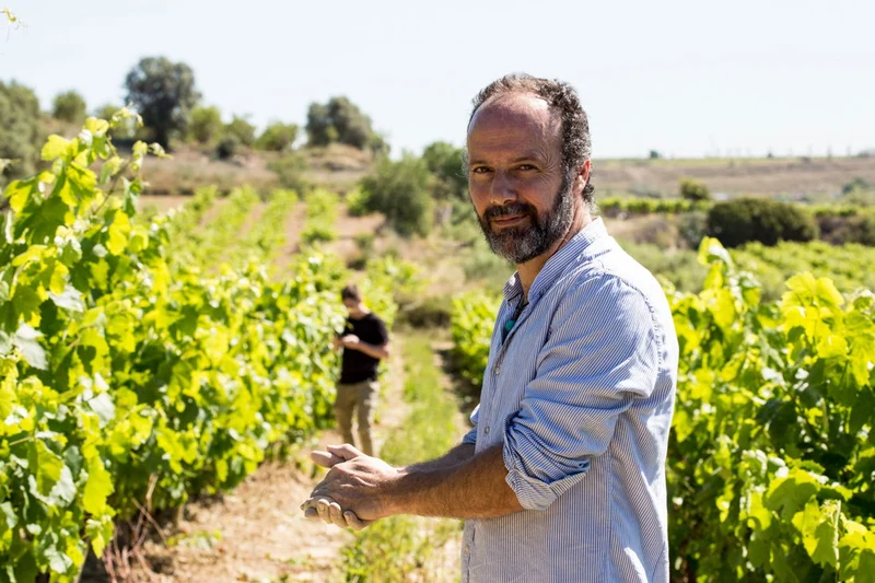 Amós Bañeres - Les Arrels del Cel 2019
