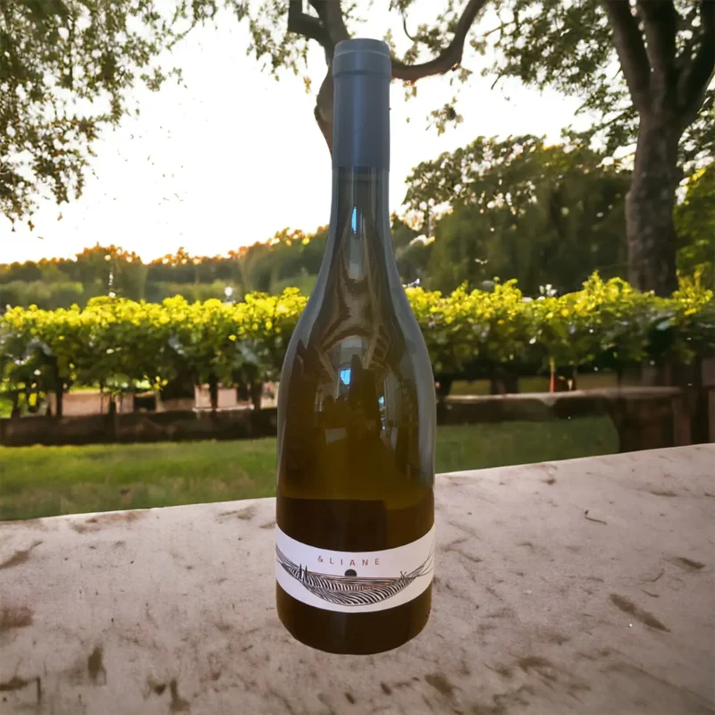 Trema - Perigord Eliane - Vin blanc sec - 2022